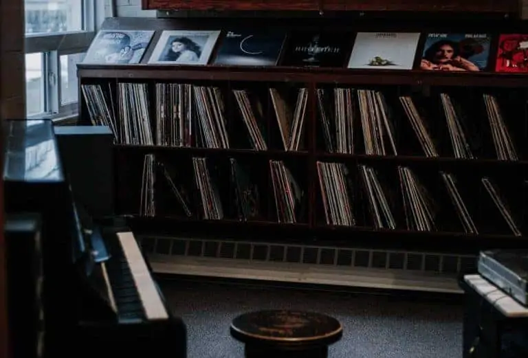 Records on a bookshelf