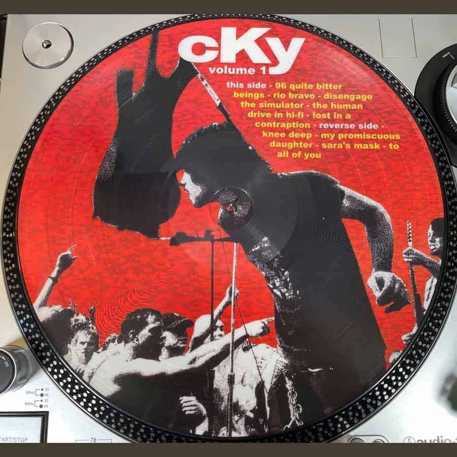 Do Picture Disc Vinyl Records Sound Worse? | Picture Disc Vinyl 