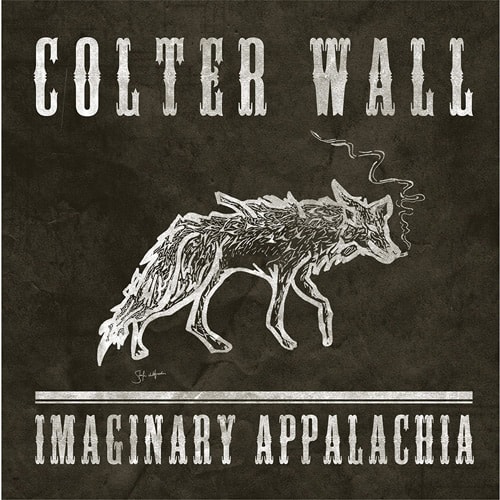 What Are The Albums To Own On Vinyl | Colter Wall Imaginary Appalachia